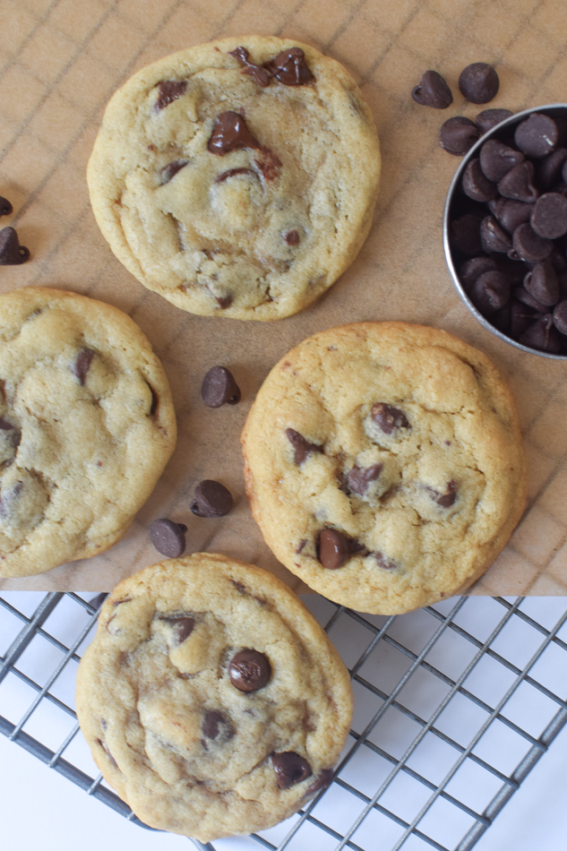 Gluten Free Chocolate Chip Cookie